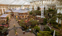 Delta Atrium